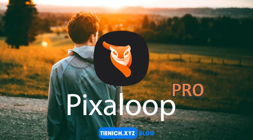 Pixaloop Pro Unlocked